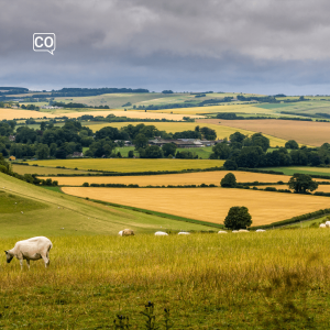  El campo: Das Feld (Spanisch)