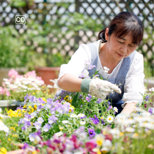  La jardinería: Die Gartenarbeit (Spanisch)